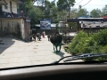 20160425_092824.jpg
