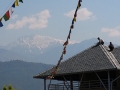 20160426_064227.jpg